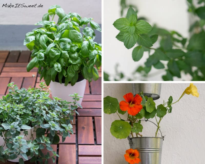 Quinoasalat mit Gemüse - real,- Mein kleiner BIO-Garten {Anzeige} 5 Pflanzen Balkon Basilikum Oregano Minze Kapuzinerkresse Sommerzeit ist Balkonzeit meinkleinergarten